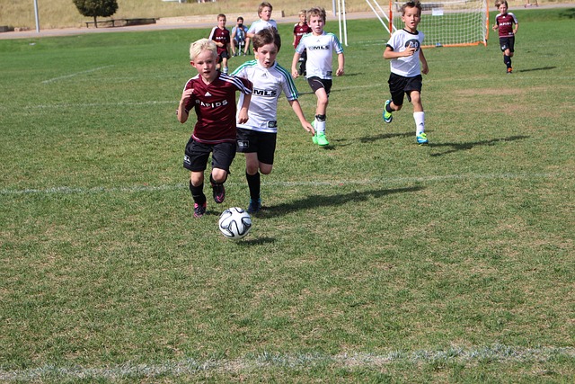 其他球隊往 其他球隊往