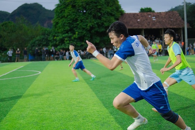 球员行为和 球员行为和