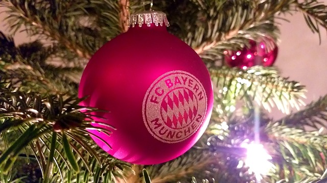 拳击比赛的 拳击比赛的