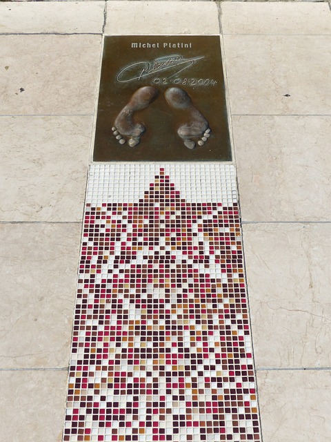 以及教练对 以及教练对