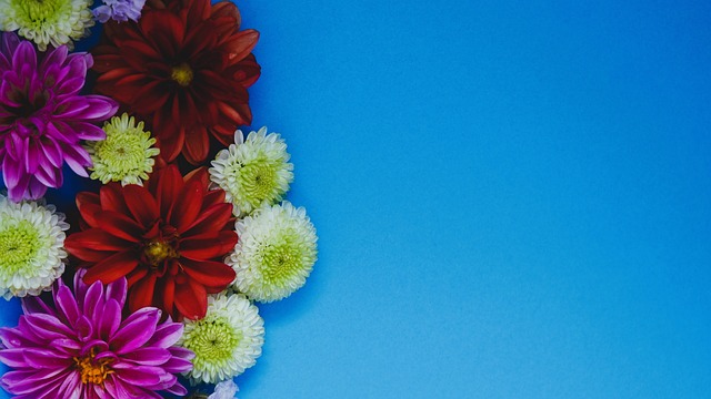 人的淘汰敲 人的淘汰敲