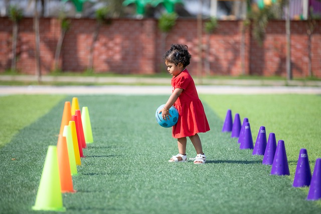 未来蓝图 未来蓝图