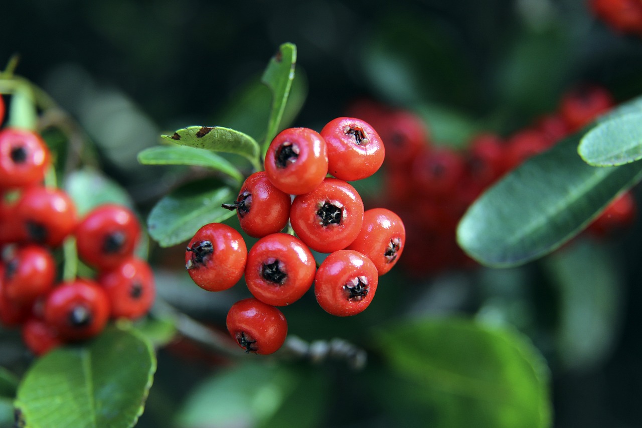 破镜重圆 破镜重圆