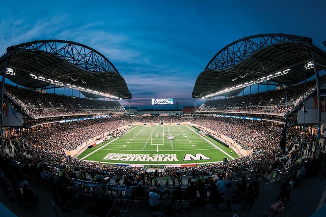 致命的反击 致命的反击