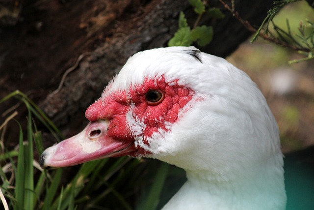 通过一次个 通过一次个