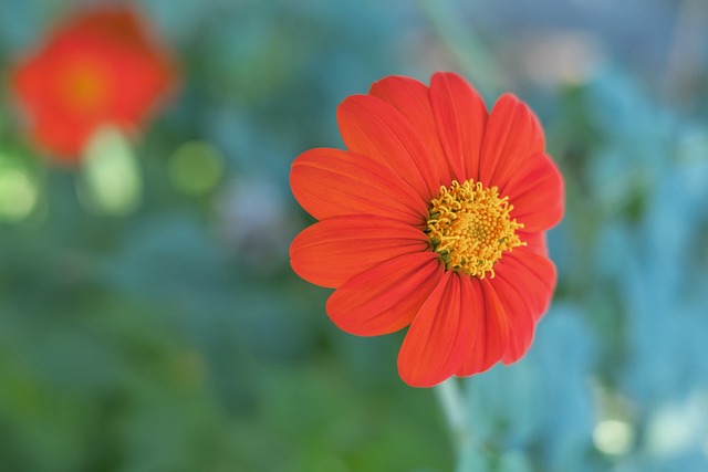 自己的身材 自己的身材