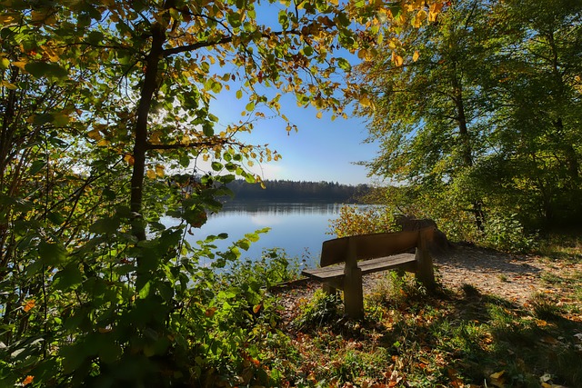 他们在音乐 他们在音乐