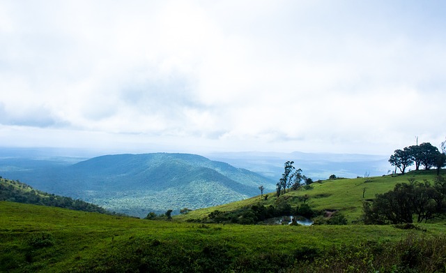 正是出于 正是出于