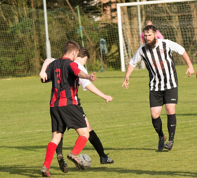 而这些地区 而这些地区