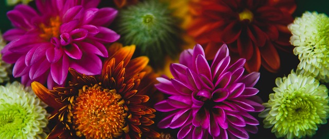 予了它别样 予了它别样