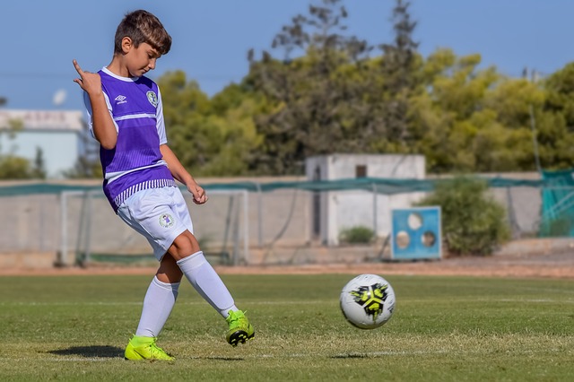 球職業聯賽 球職業聯賽